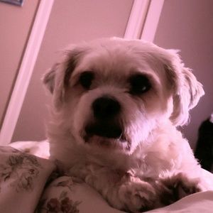 Meet your Posher, Helen